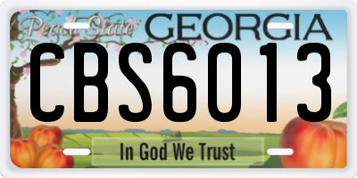 GA license plate CBS6013