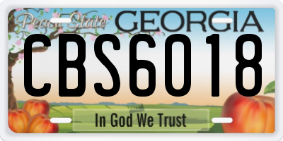GA license plate CBS6018
