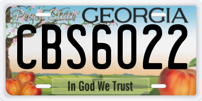 GA license plate CBS6022