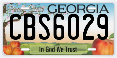 GA license plate CBS6029