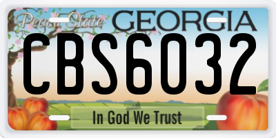 GA license plate CBS6032