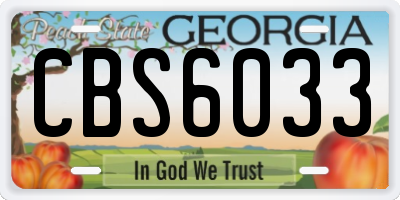 GA license plate CBS6033