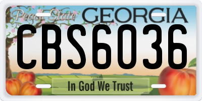 GA license plate CBS6036