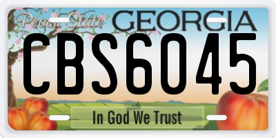 GA license plate CBS6045
