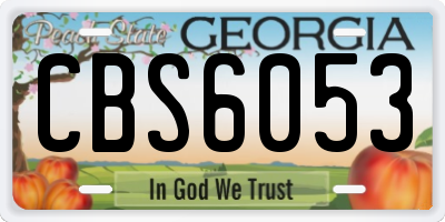GA license plate CBS6053