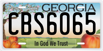 GA license plate CBS6065