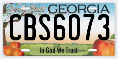 GA license plate CBS6073