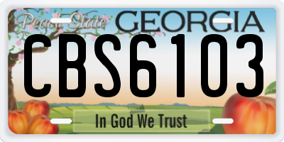 GA license plate CBS6103