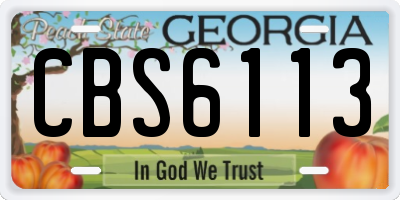 GA license plate CBS6113