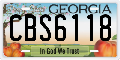 GA license plate CBS6118