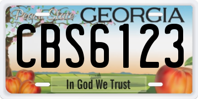 GA license plate CBS6123