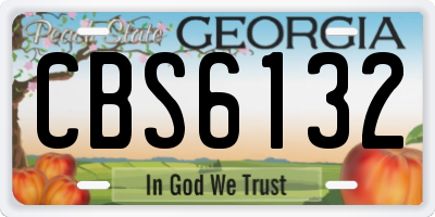GA license plate CBS6132
