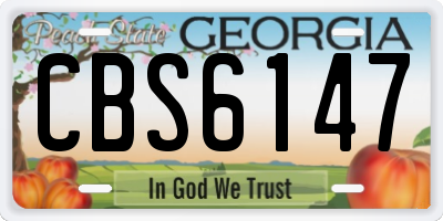 GA license plate CBS6147