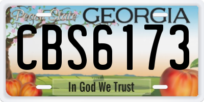 GA license plate CBS6173