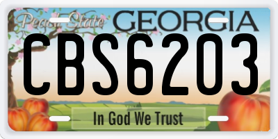 GA license plate CBS6203