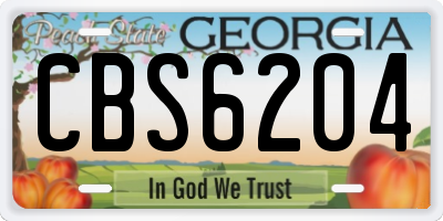 GA license plate CBS6204