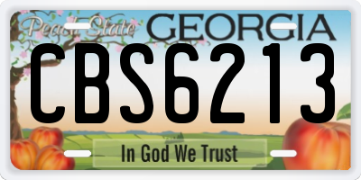 GA license plate CBS6213