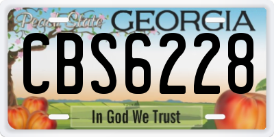 GA license plate CBS6228