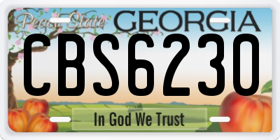 GA license plate CBS6230