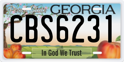 GA license plate CBS6231
