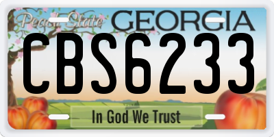 GA license plate CBS6233