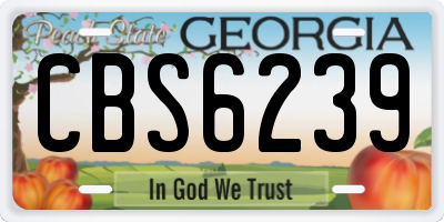 GA license plate CBS6239