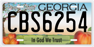 GA license plate CBS6254