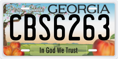 GA license plate CBS6263