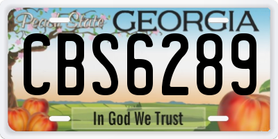GA license plate CBS6289