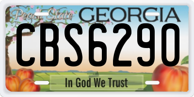 GA license plate CBS6290