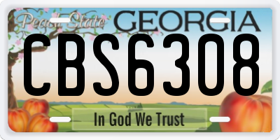 GA license plate CBS6308