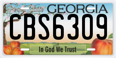 GA license plate CBS6309