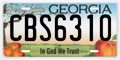 GA license plate CBS6310