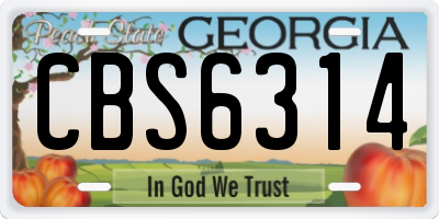 GA license plate CBS6314