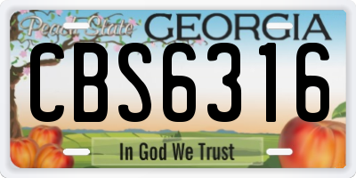 GA license plate CBS6316