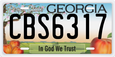 GA license plate CBS6317