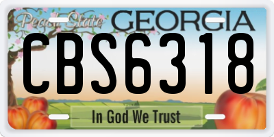 GA license plate CBS6318