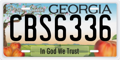 GA license plate CBS6336