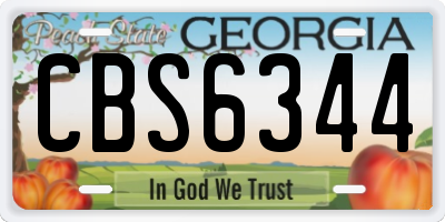 GA license plate CBS6344