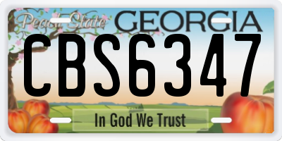 GA license plate CBS6347