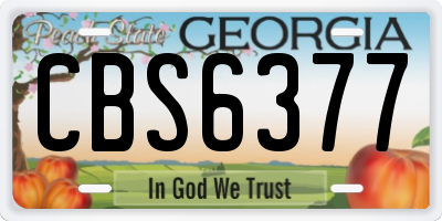 GA license plate CBS6377