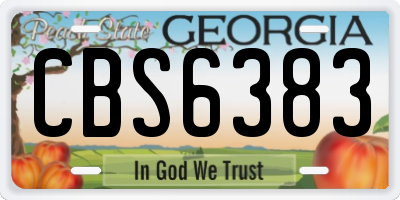 GA license plate CBS6383