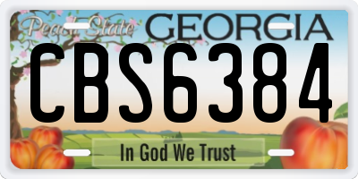 GA license plate CBS6384