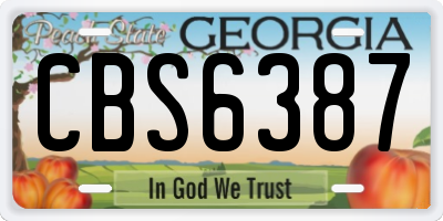 GA license plate CBS6387
