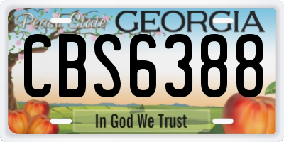 GA license plate CBS6388