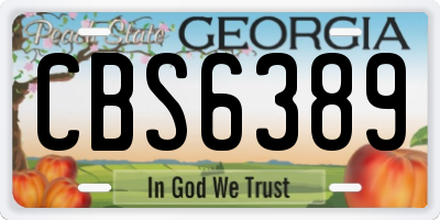 GA license plate CBS6389