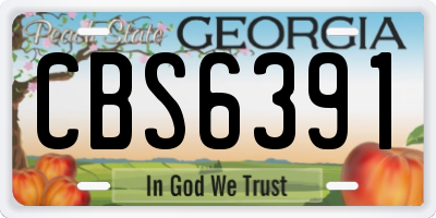 GA license plate CBS6391