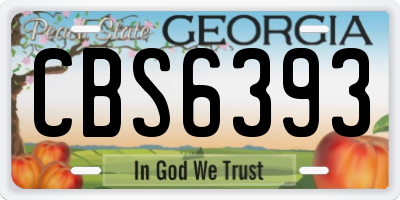 GA license plate CBS6393