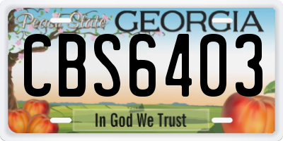 GA license plate CBS6403