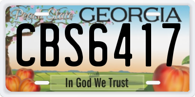 GA license plate CBS6417